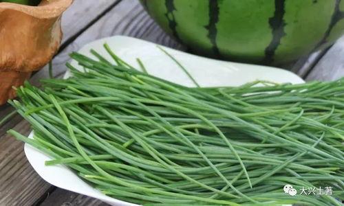 近期热门吃瓜网红,揭秘近期热门吃瓜网红背后的故事  第2张